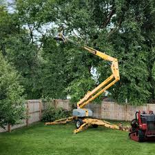 Best Tree Trimming and Pruning  in Candlewick Lake, IL